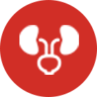 Urology
